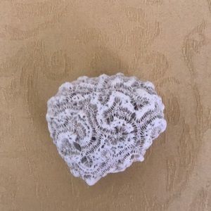 Beautiful Small Real Natural Brain Coral